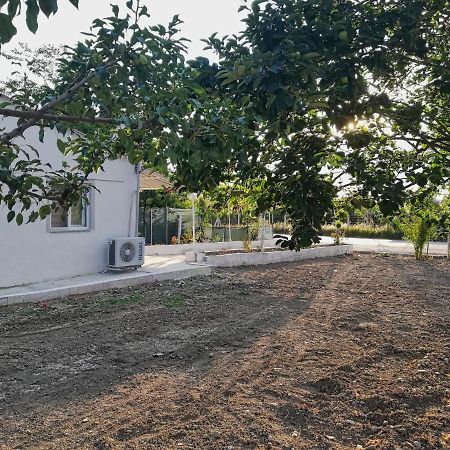 Alibaba Villa Near Airport And Beach ดาลามาน ภายนอก รูปภาพ