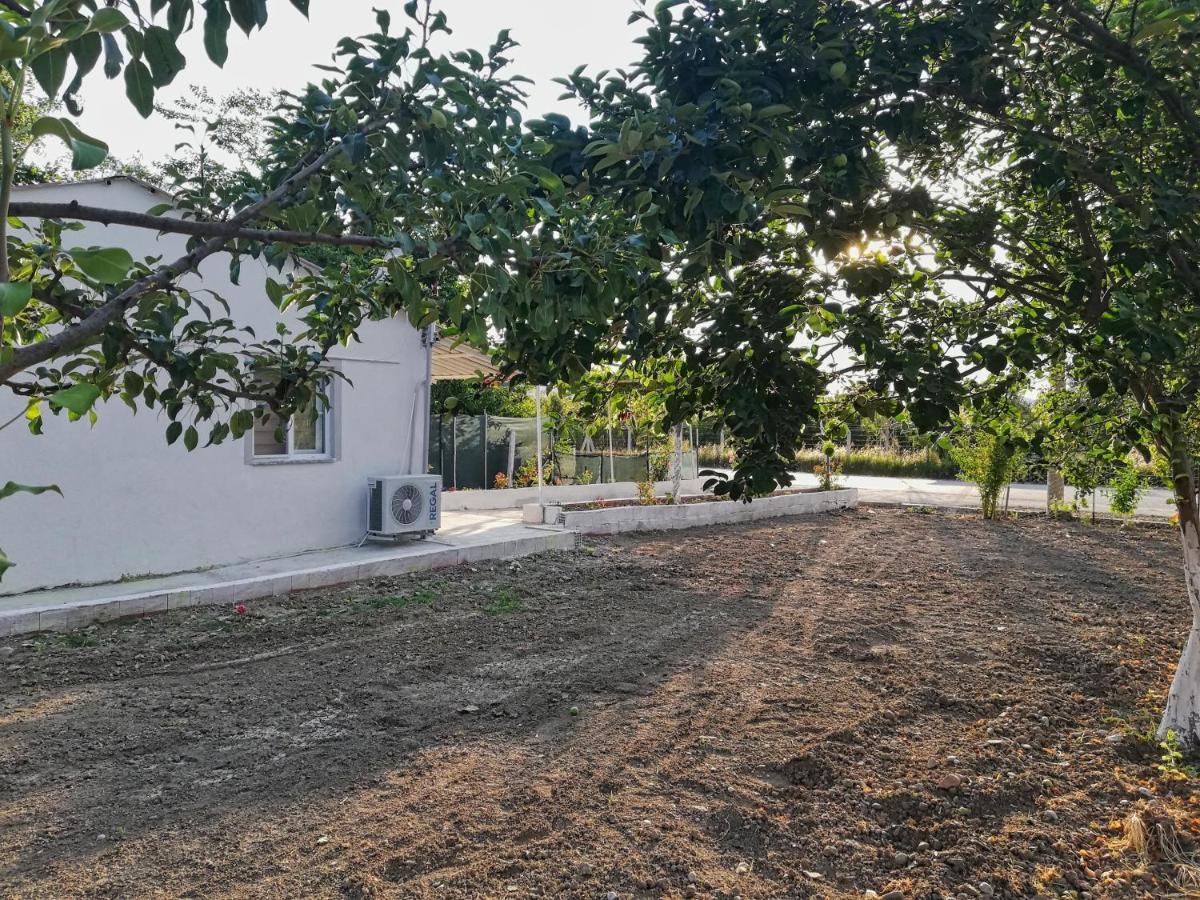 Alibaba Villa Near Airport And Beach ดาลามาน ภายนอก รูปภาพ