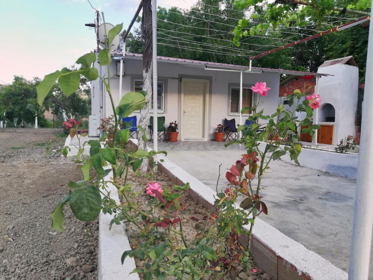 Alibaba Villa Near Airport And Beach ดาลามาน ภายนอก รูปภาพ